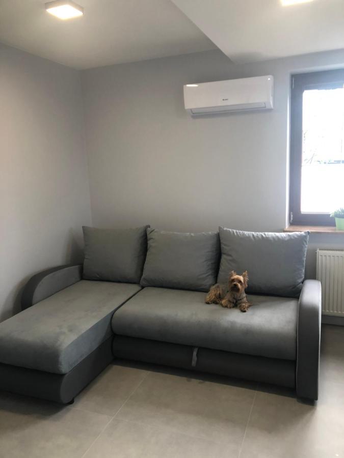 Klimatyzowane Apartamenty I Pokoje Przy Targach เคียลเซ ภายนอก รูปภาพ
